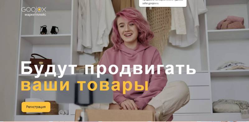 Какие новые маркетплейсы есть в России – Goojox