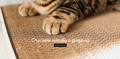 правильный копирайтинг для лендинга