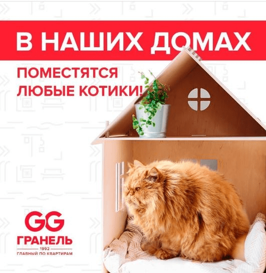 Мемы в рекламе, кот Виктор