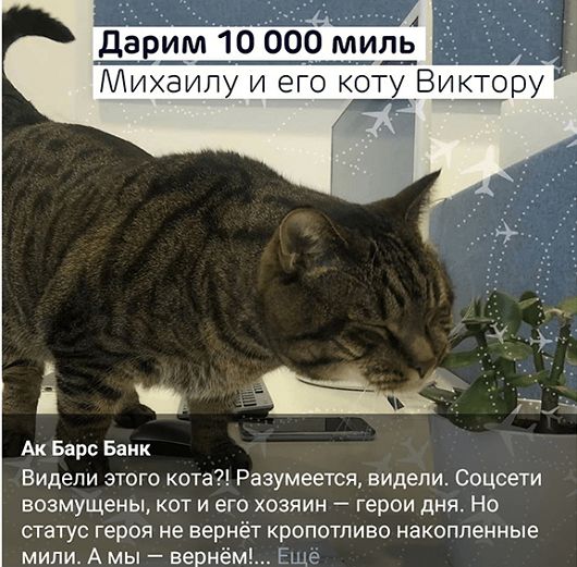 Мемы в рекламе, кот Виктор