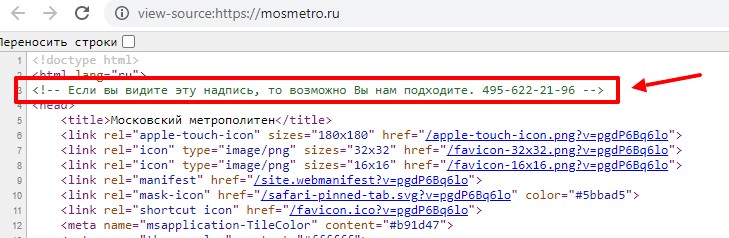 скриншот кода сайта метро Москвы