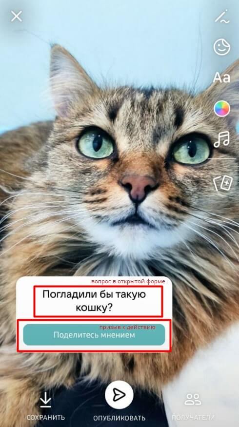 истории со стикером мнения ВКонтакте