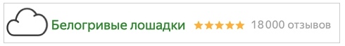 Способы продвижения на Яндекс.Маркете – размещение логотипа