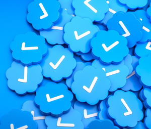Верификация ВКонтакте: как получить заветную галочку и в чем её польза