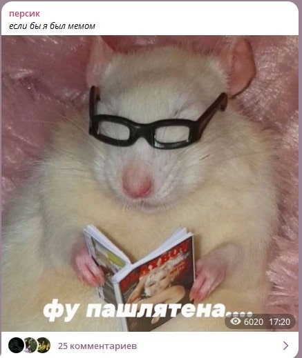 мемы 1