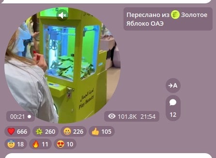 кружки