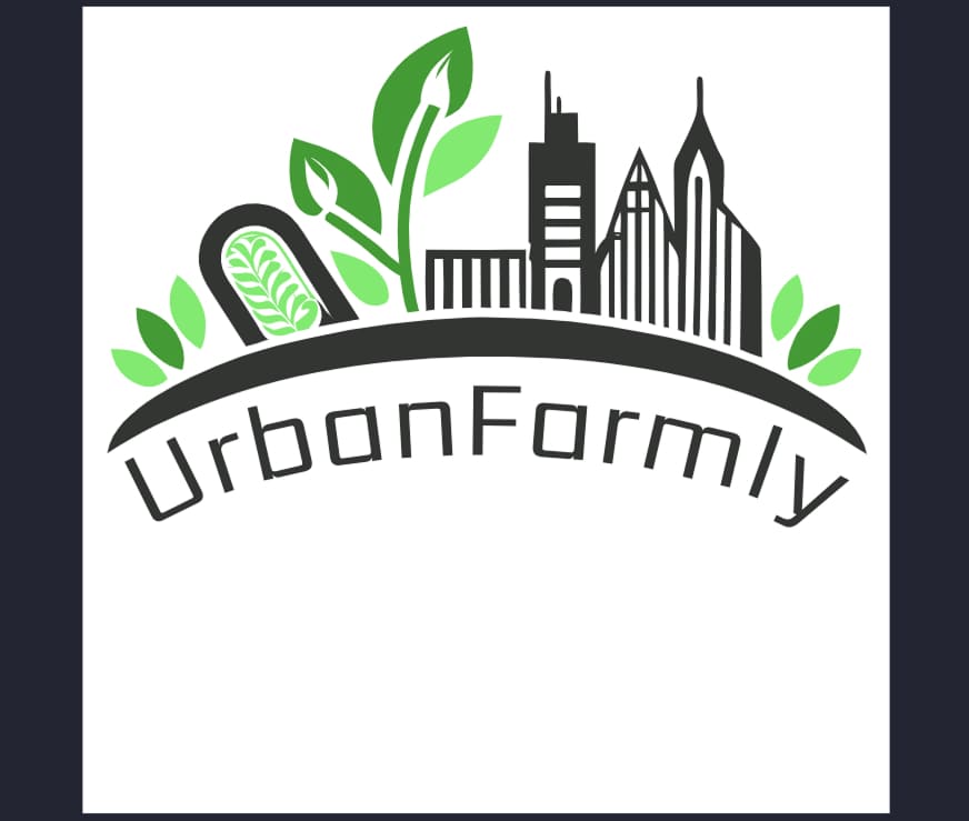 логотип от FLD редактированный