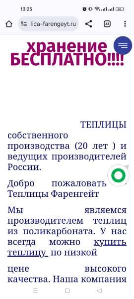 Пример плохой мобильной версии, при которой теряются деньги на SEO-продвижение интернет-магазина