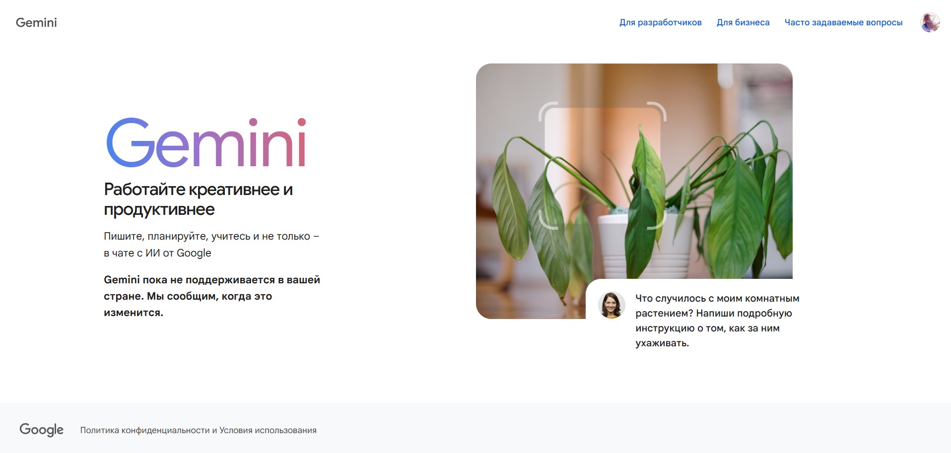Главная страница Gemini 