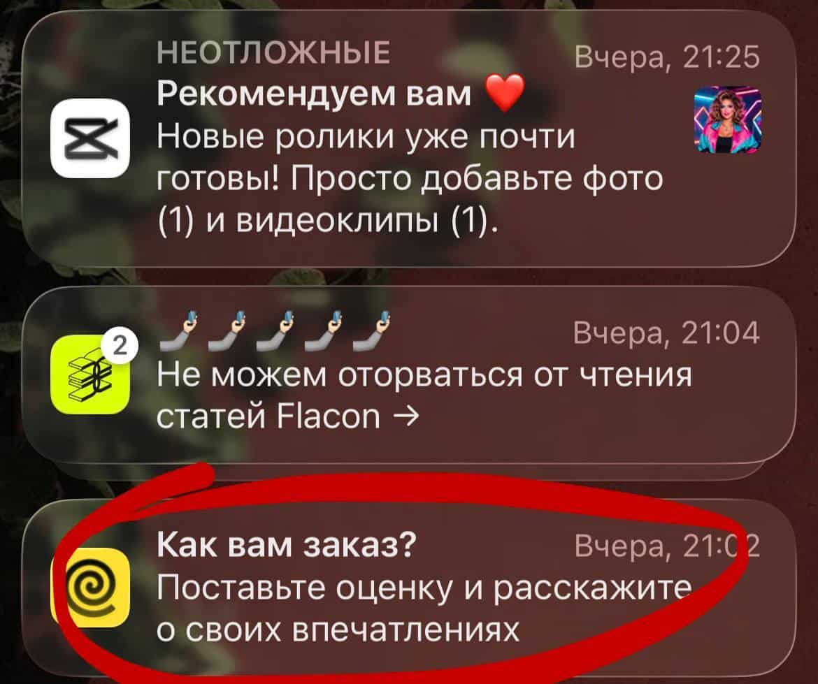 отзыв в пушах