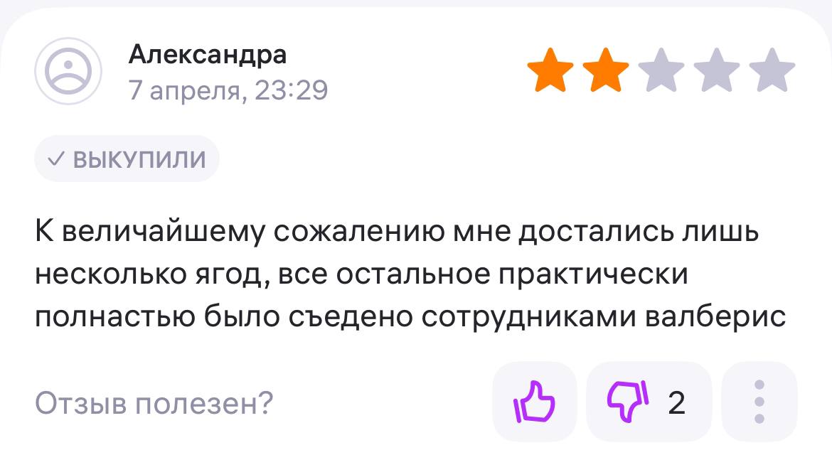 пример отзыва